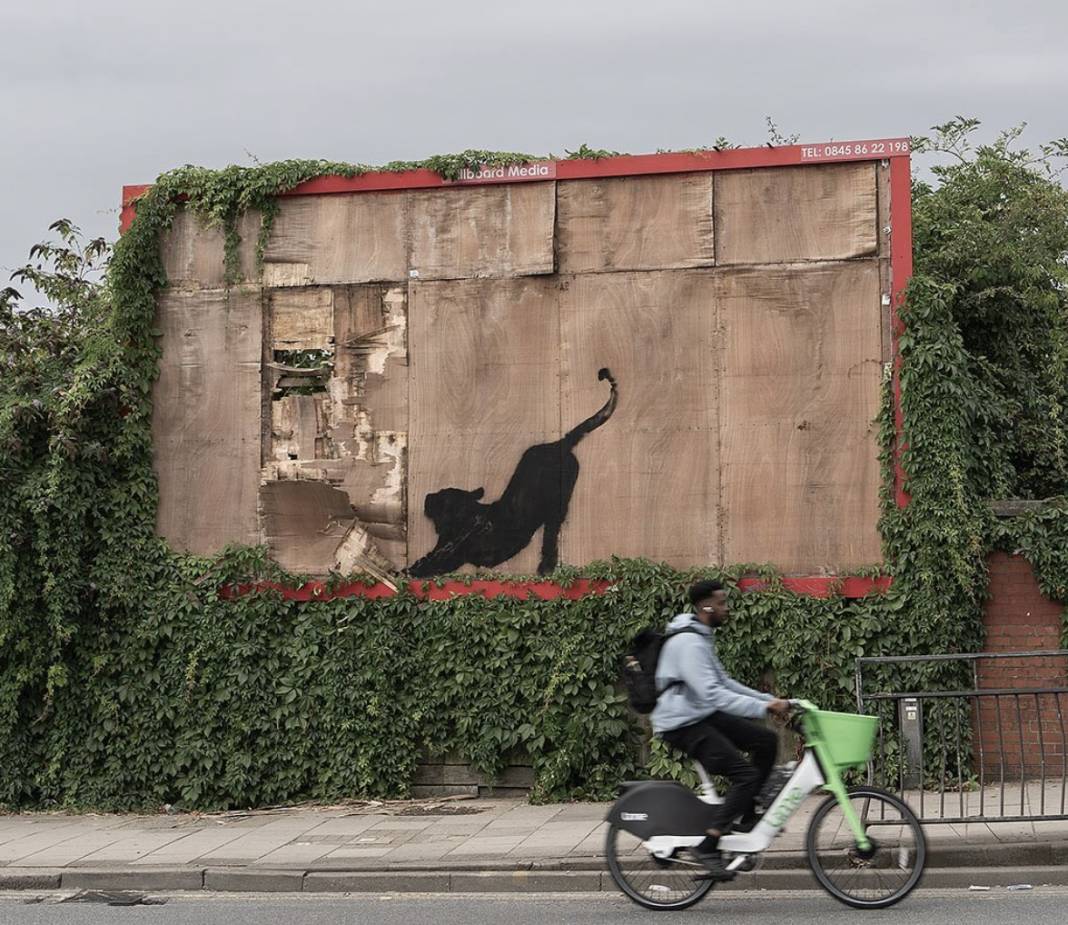 Banksy hayvan temalı serisini tamamladı: Ne anlatmak istedi? 7